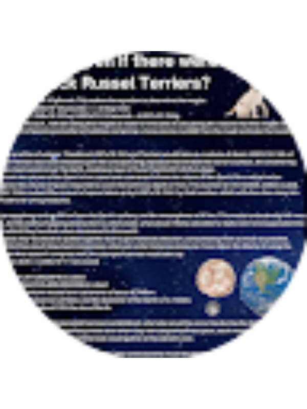 Photo of Declan Samuel