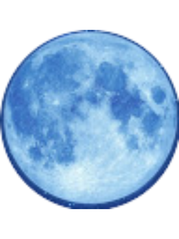 Photo of Ana Martins