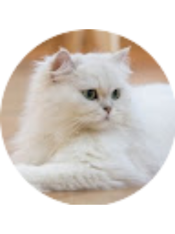 Photo of Kenisha Singh