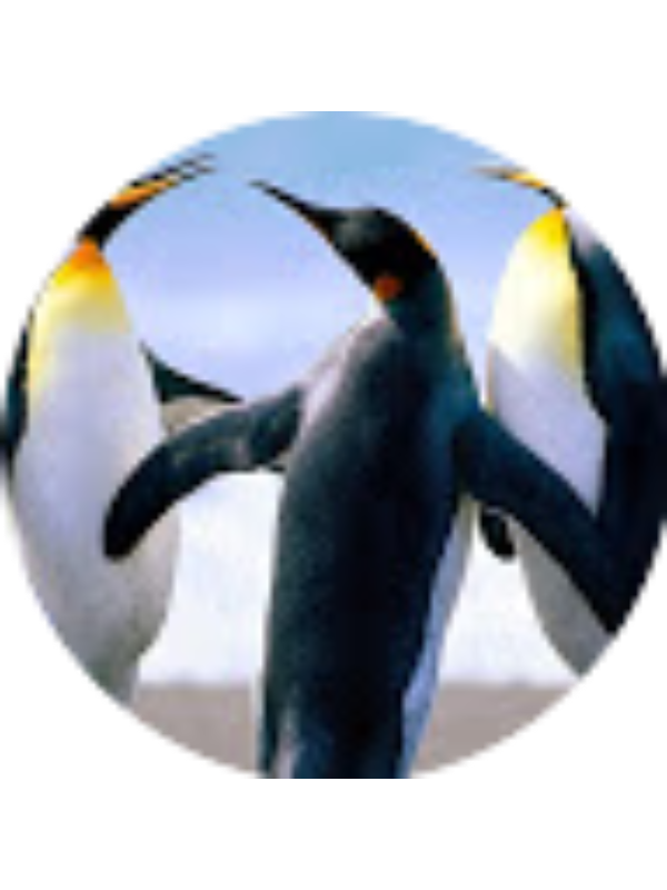 Photo of Annamaria Fazzini