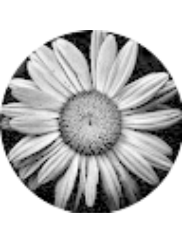 Photo of NATALIA MARTINEZ GARCIA