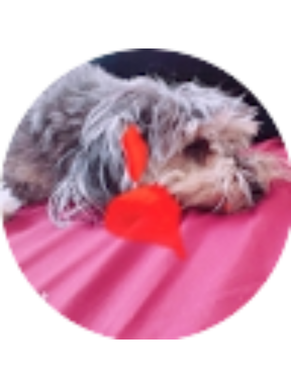 Photo of victoriadanielapatino