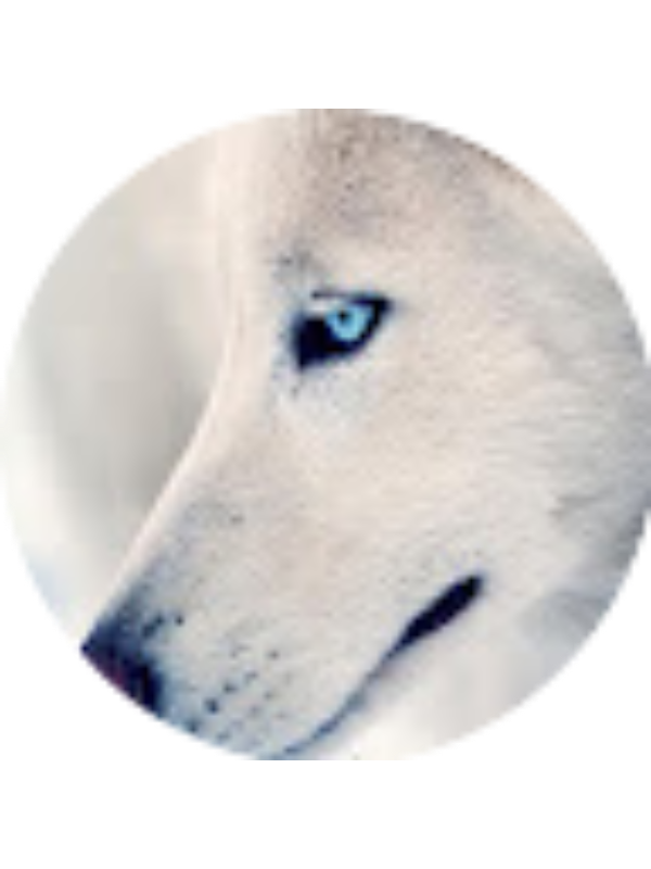 Photo of zulkarneyntalha