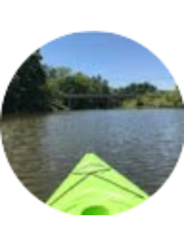 Photo of Caroline Weber