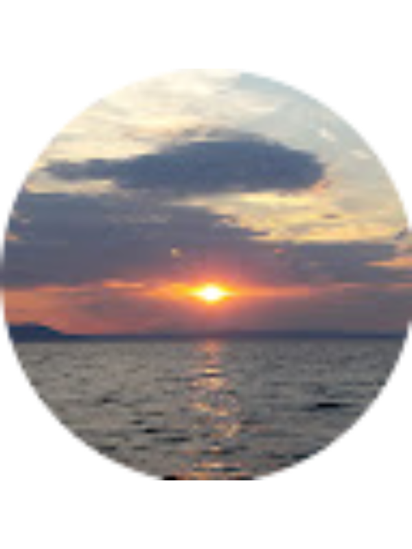 Photo of &Pi;&Alpha;&Rho;&Alpha;&Sigma;&Kappa;&Epsilon;&Upsilon;&Eta; &Mu;&Pi;&Omicron;&Upsilon;&Tau;&Sigma;&Eta;