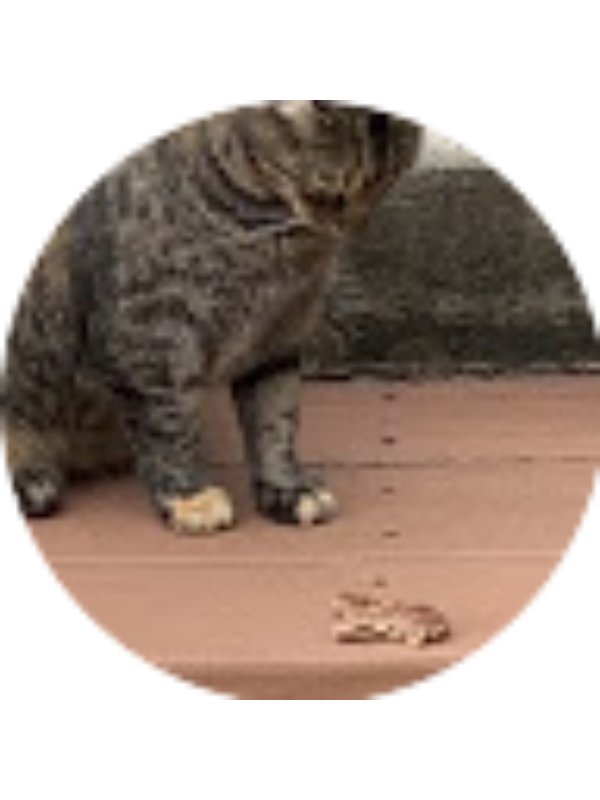 Photo of Emily Franklin