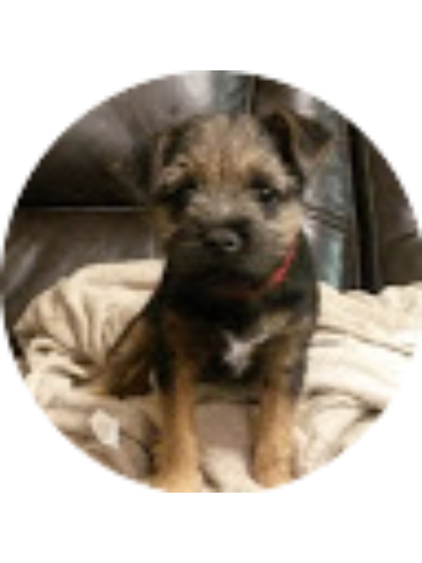 Photo of Jenna Meikle