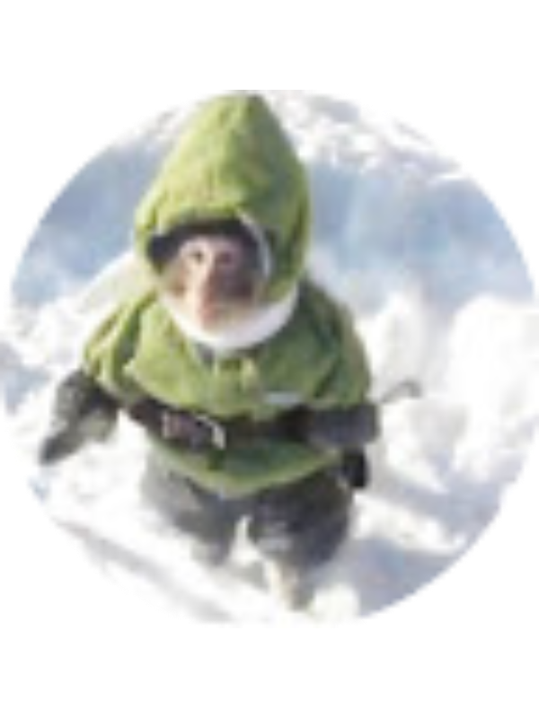 Photo of Andrik Troka