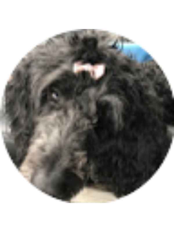 Photo of NOELLE Stanley