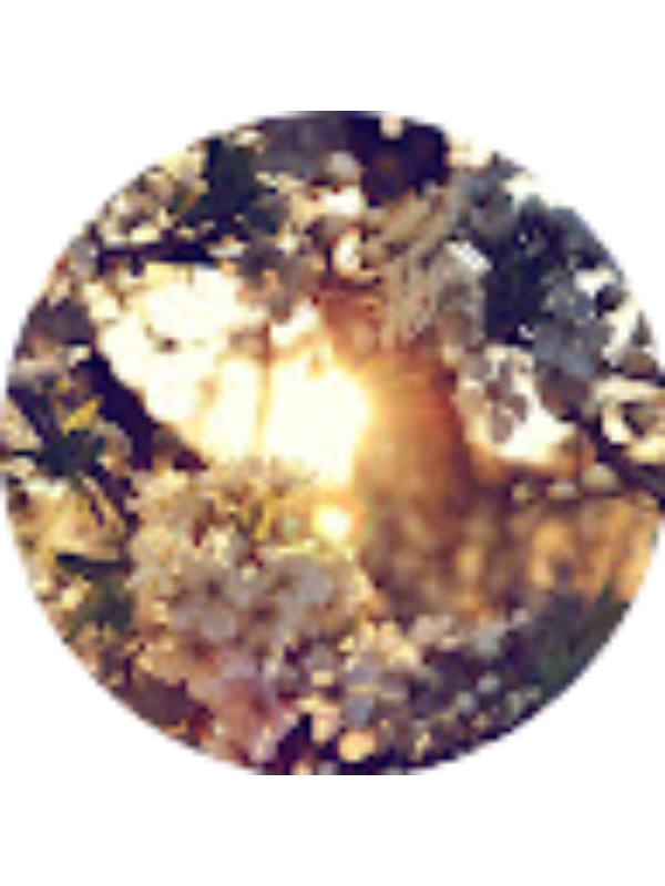 Photo of Tina Nguyen