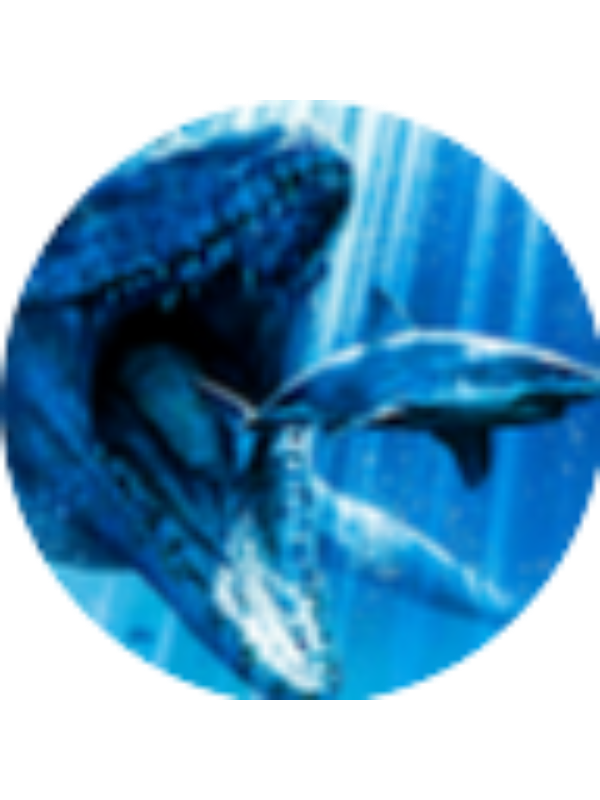 Photo of Henry Hernandez