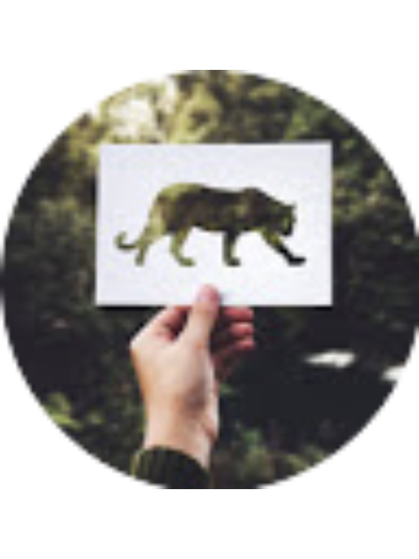 Photo of NURIA PARAREDA XANDRI