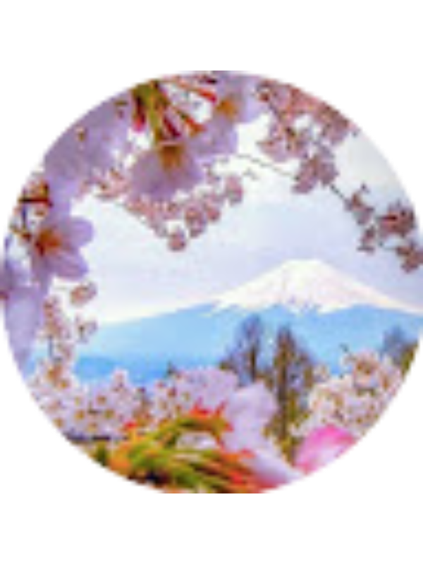 Photo of Gonca Tasalı