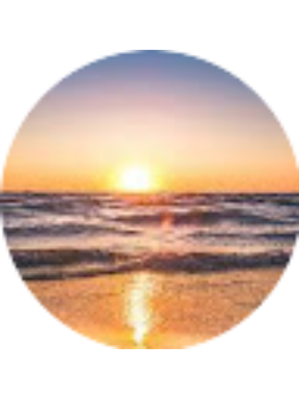 Photo of Mishty Mehta