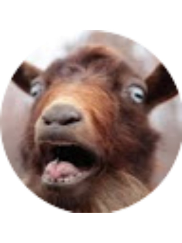 Photo of David Stiffler