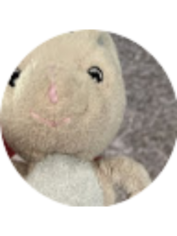 Photo of Christian Ham-Franiel