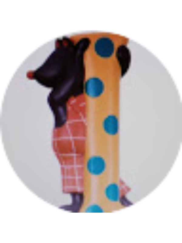 Photo of Ioana Sopoian