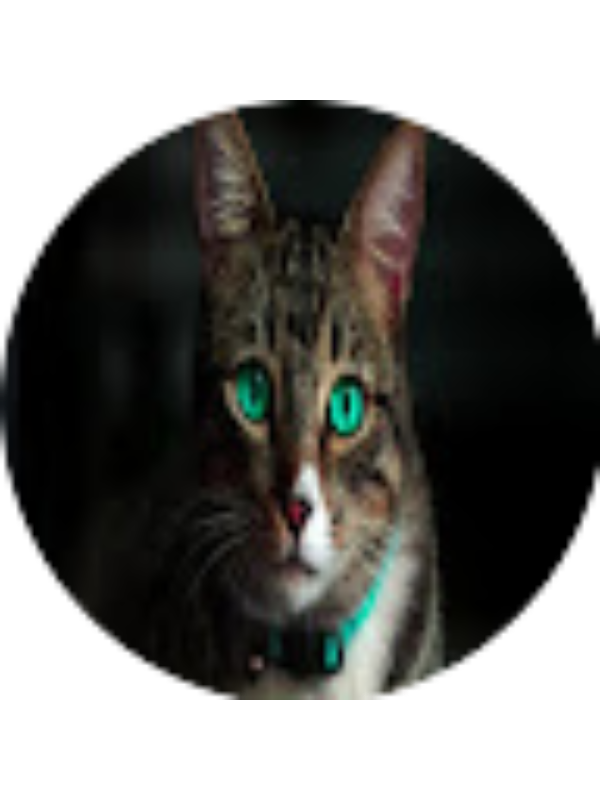 Photo of Stephanie Mitra