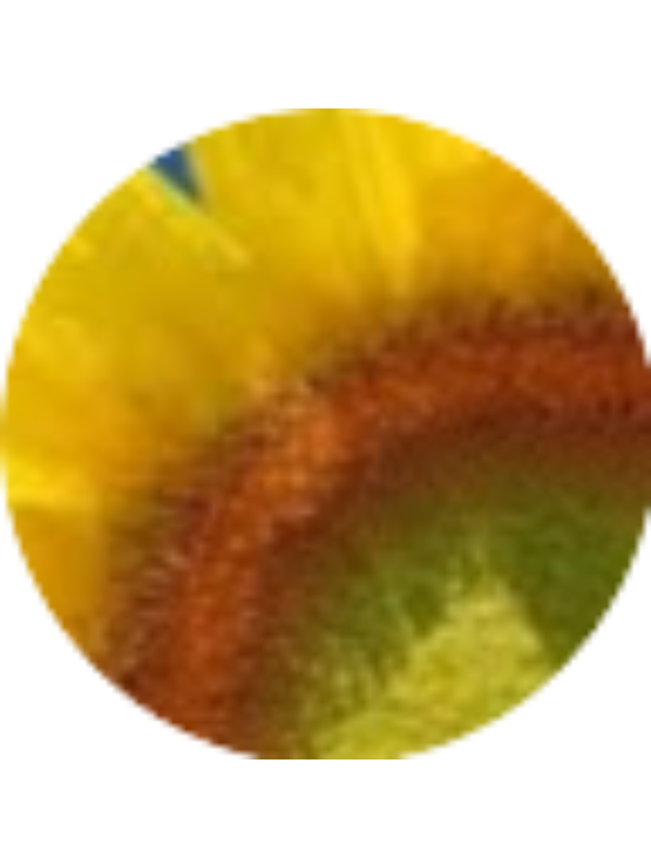 Photo of Armanda Ribeiro