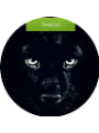 Picture of Tweecat Master