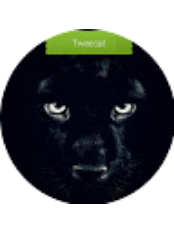 Photo of Tweecat Master