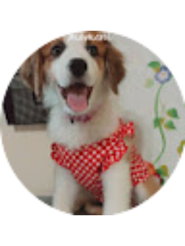 Photo of Angelica Quintana