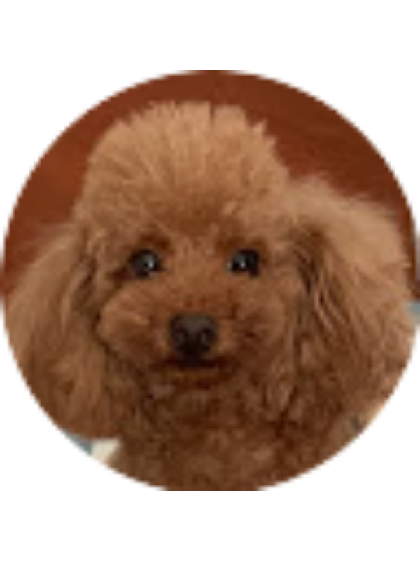 Photo of Howard Zeng