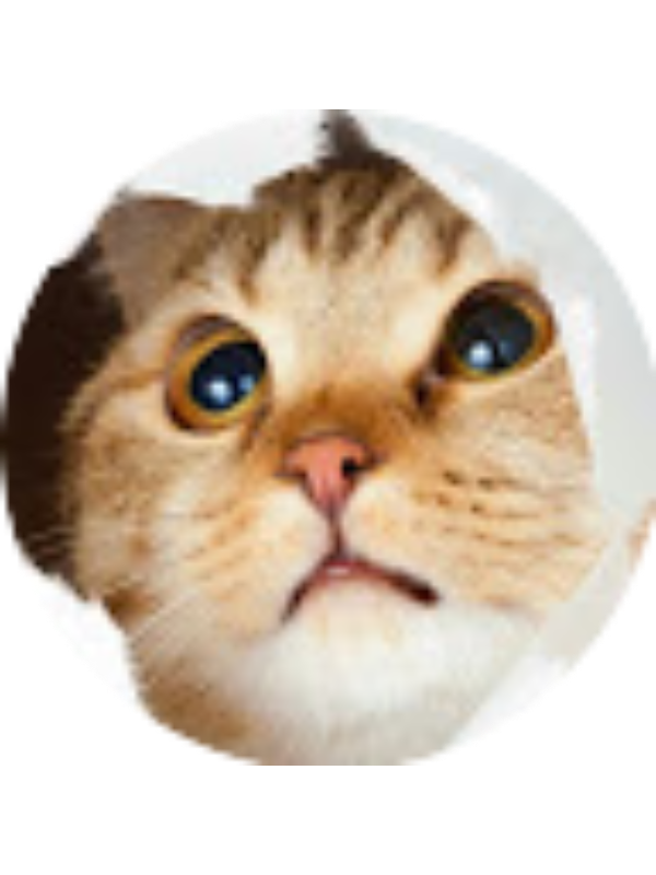 Photo of Luciana Vornicean