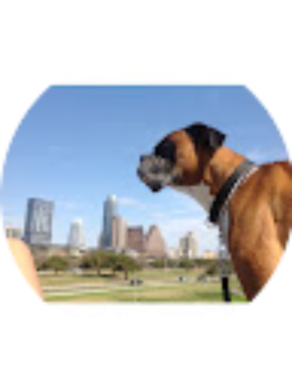 Photo of Molly Anne Woodard