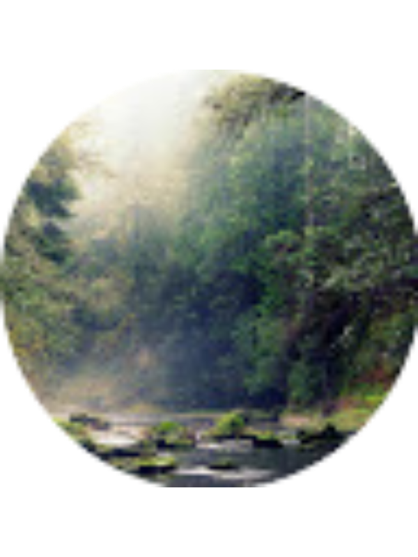 Photo of Shay Bertram