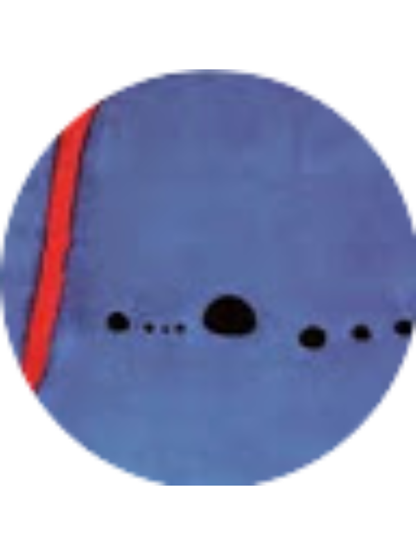 Photo of Maria Papaioannou