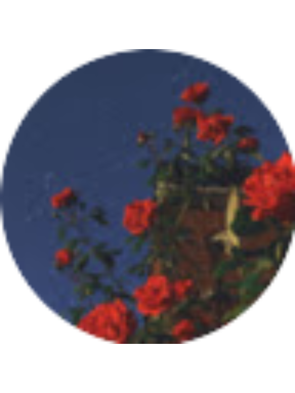 Photo of MICAELA ALBAN BARNETT