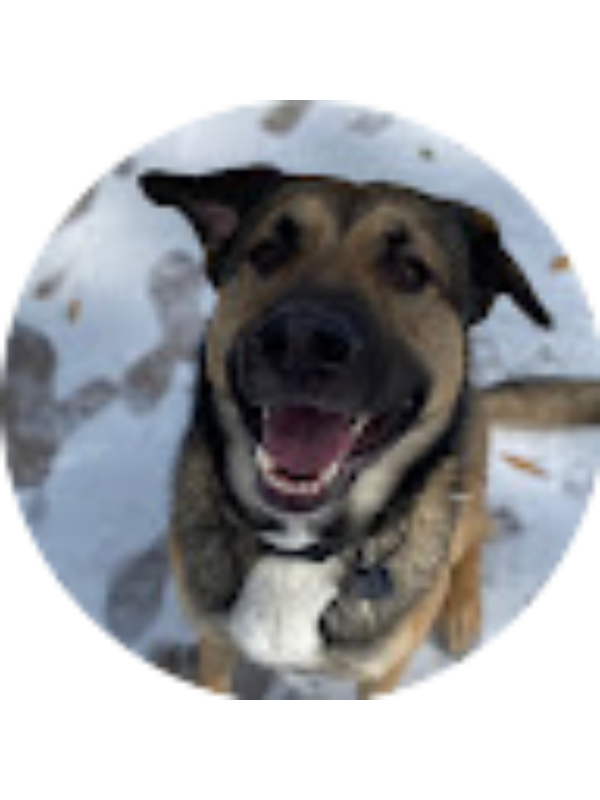 Photo of Victoria Wilson