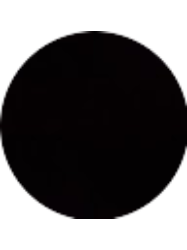 Photo of Vina Wulansari