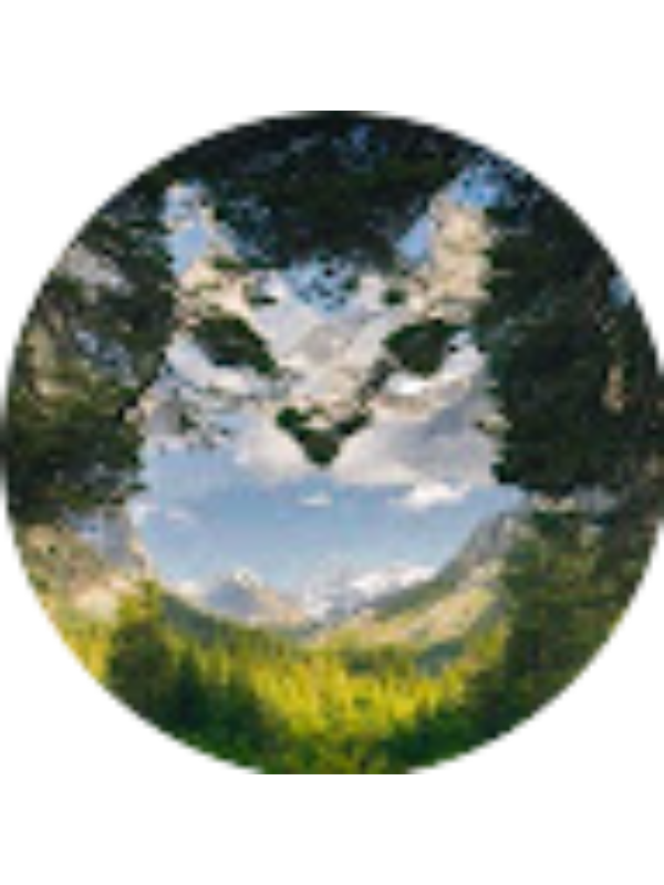 Photo of Stefano Legatos