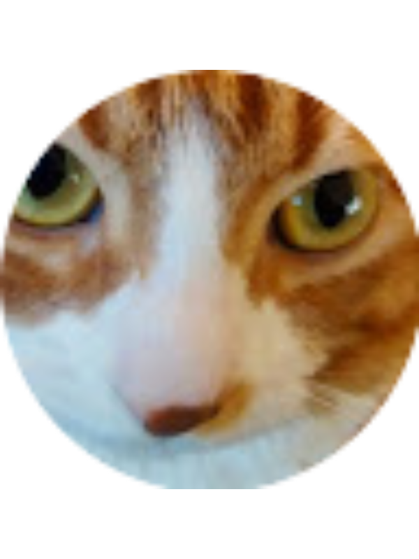 Photo of Sofia Castro