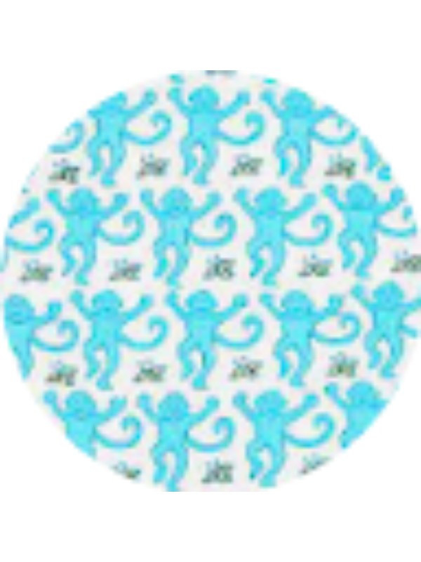 Photo of Hayden Isbell