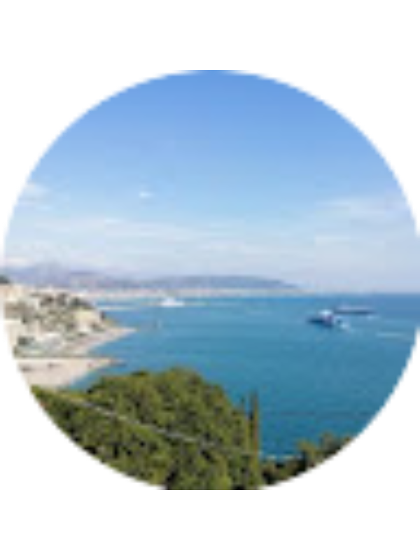 Photo of Alfonso Moscariello