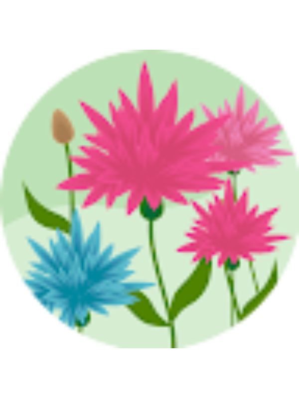 Photo of Ozden Koksal