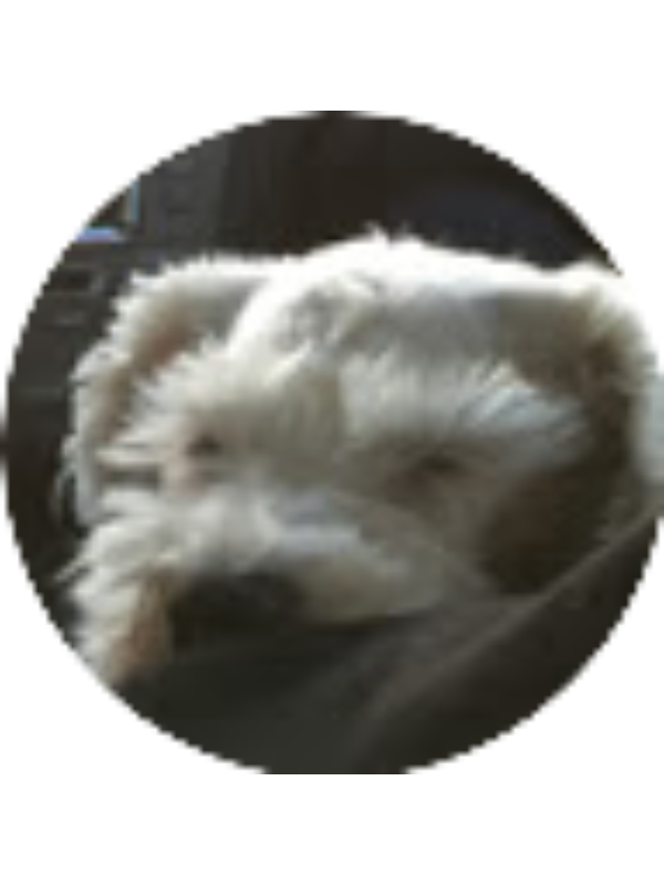 Photo of Serene Peters