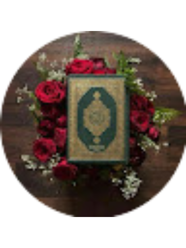 Photo of Salsabeel 1