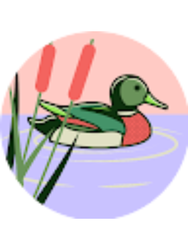 Photo of Zev Gerstein