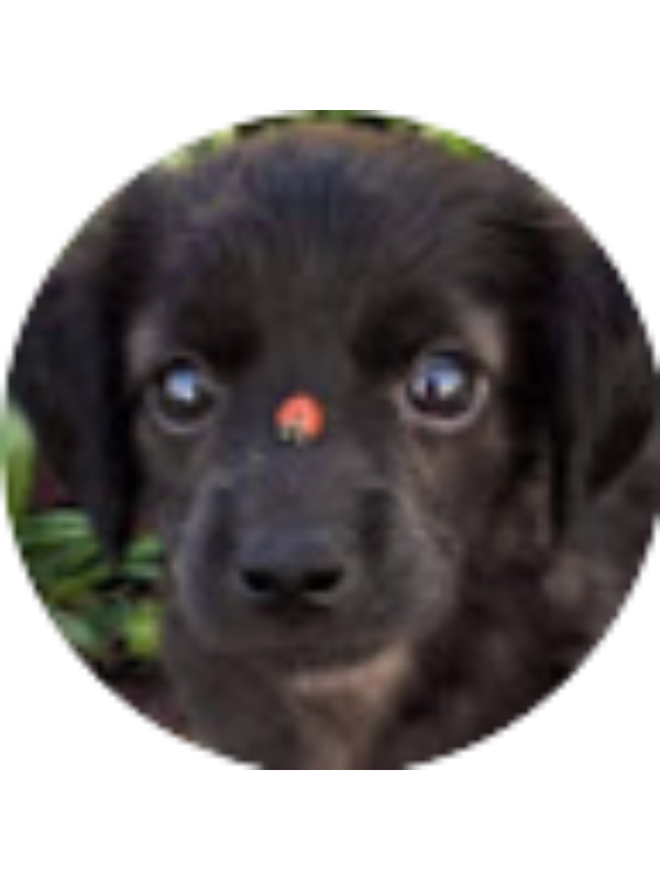 Photo of Talia Moore