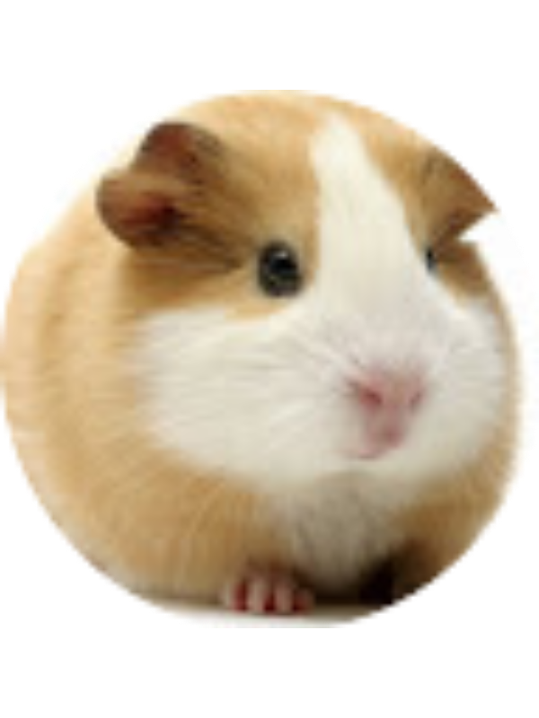 Photo of Benjamin Pottinger