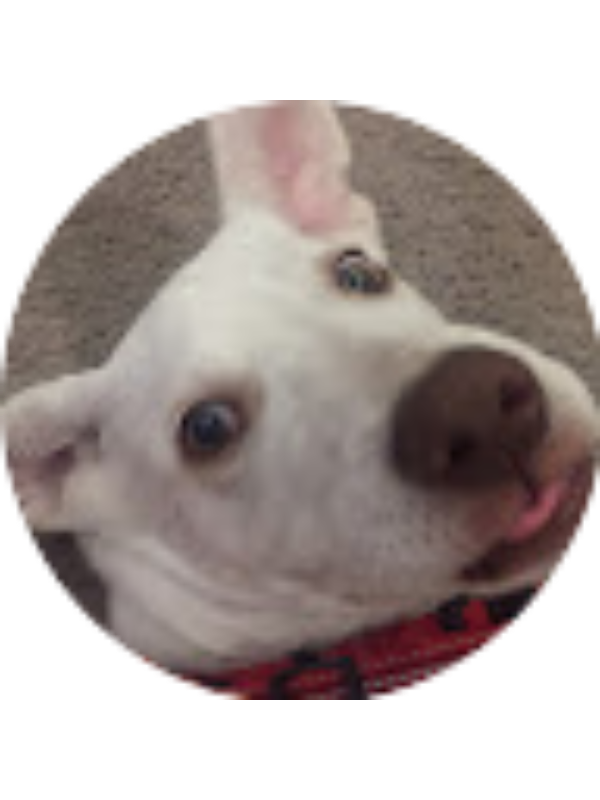 Photo of Joseph Cardwell