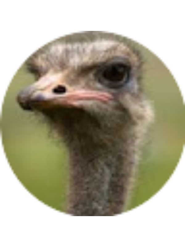 Photo of Arthur Adelmann Brants