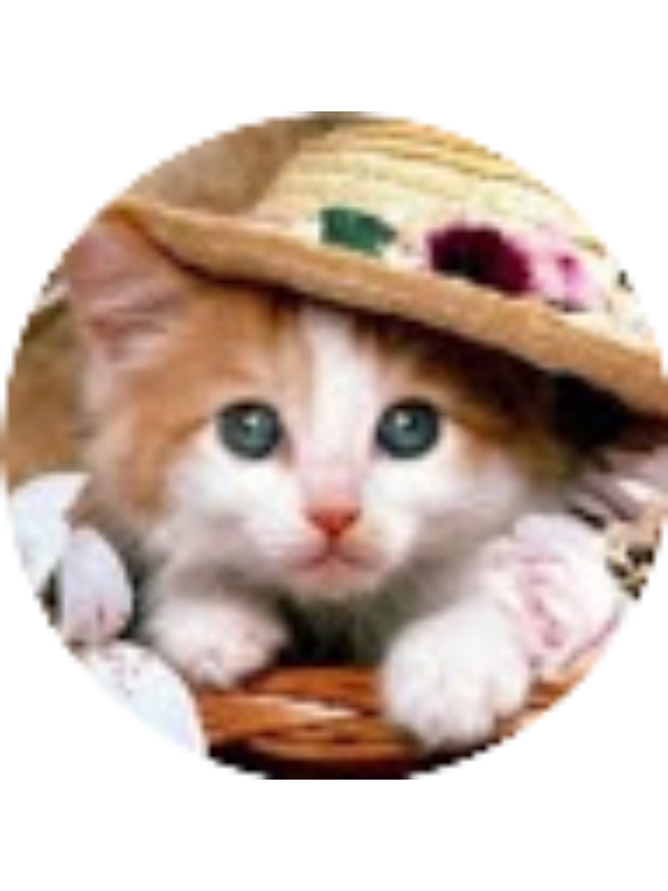 Photo of Gizemezgi K&ouml;se