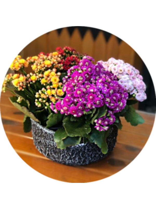 Photo of Nichtname .