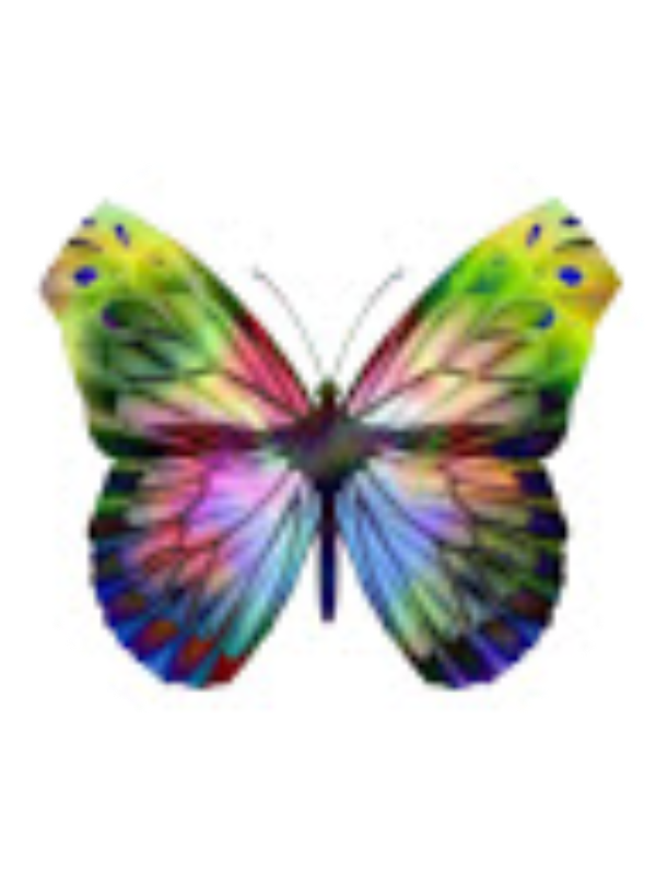 Photo of Lily Amarillas