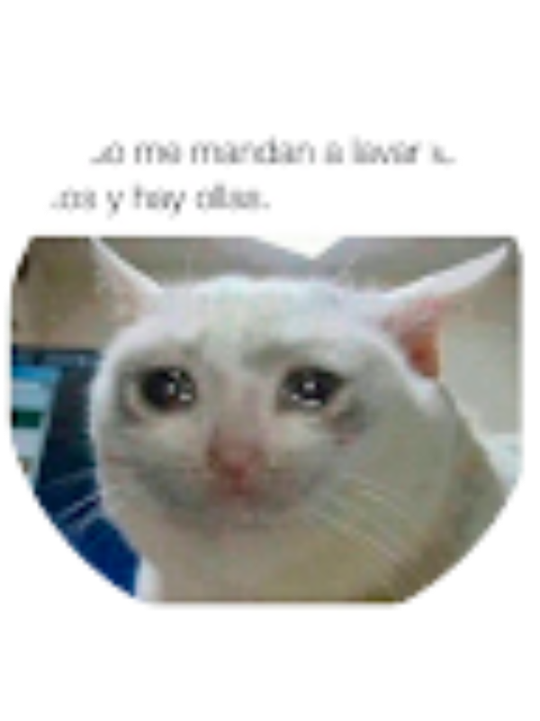 Photo of Tcjliliana Lvlv